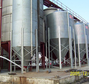 „Wielkopolski Indyk” Glinkowscy<br><small>woj. wielkopolskie</small>